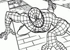 Spider Man Coloriage Inspirant Collection Disney Infinity Thor Coloring Page Coloring Pages
