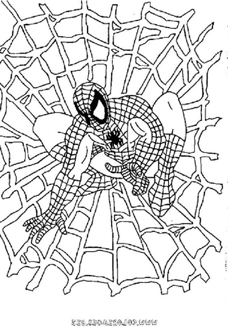 Spider Man En Dessin Beau Photos Coloriage Spiderman