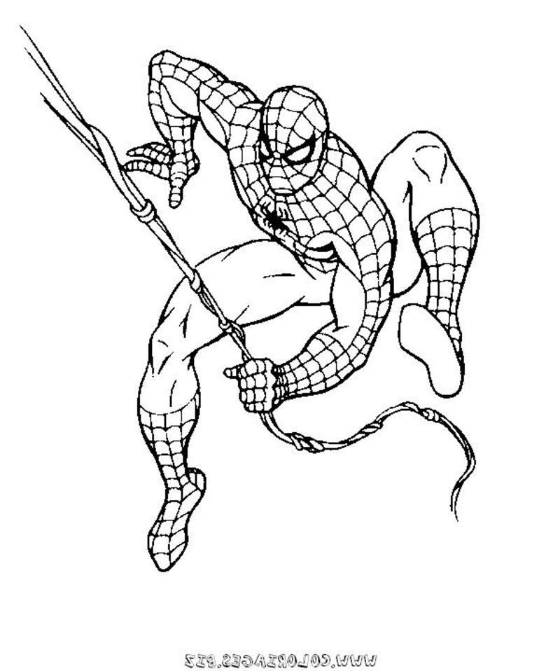 Spiderman à Colorier Beau Image Nos Jeux De Coloriage Spiderman à Imprimer Gratuit Page