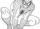 Spiderman à Colorier Élégant Photographie Coloriage Spiderman 9 Jecolorie