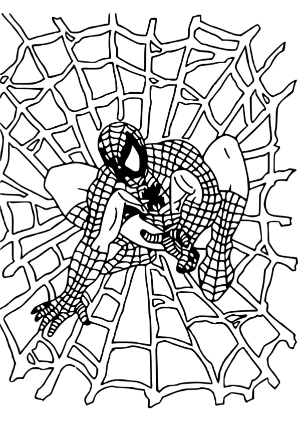 Spiderman A Dessiner Bestof Stock 124 Dessins De Coloriage Spiderman à Imprimer