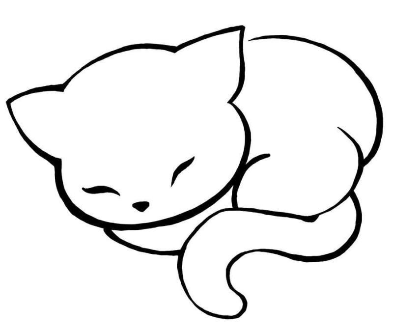 Tete De Chat Dessin Facile Beau Image Dessin De Chat Animozone