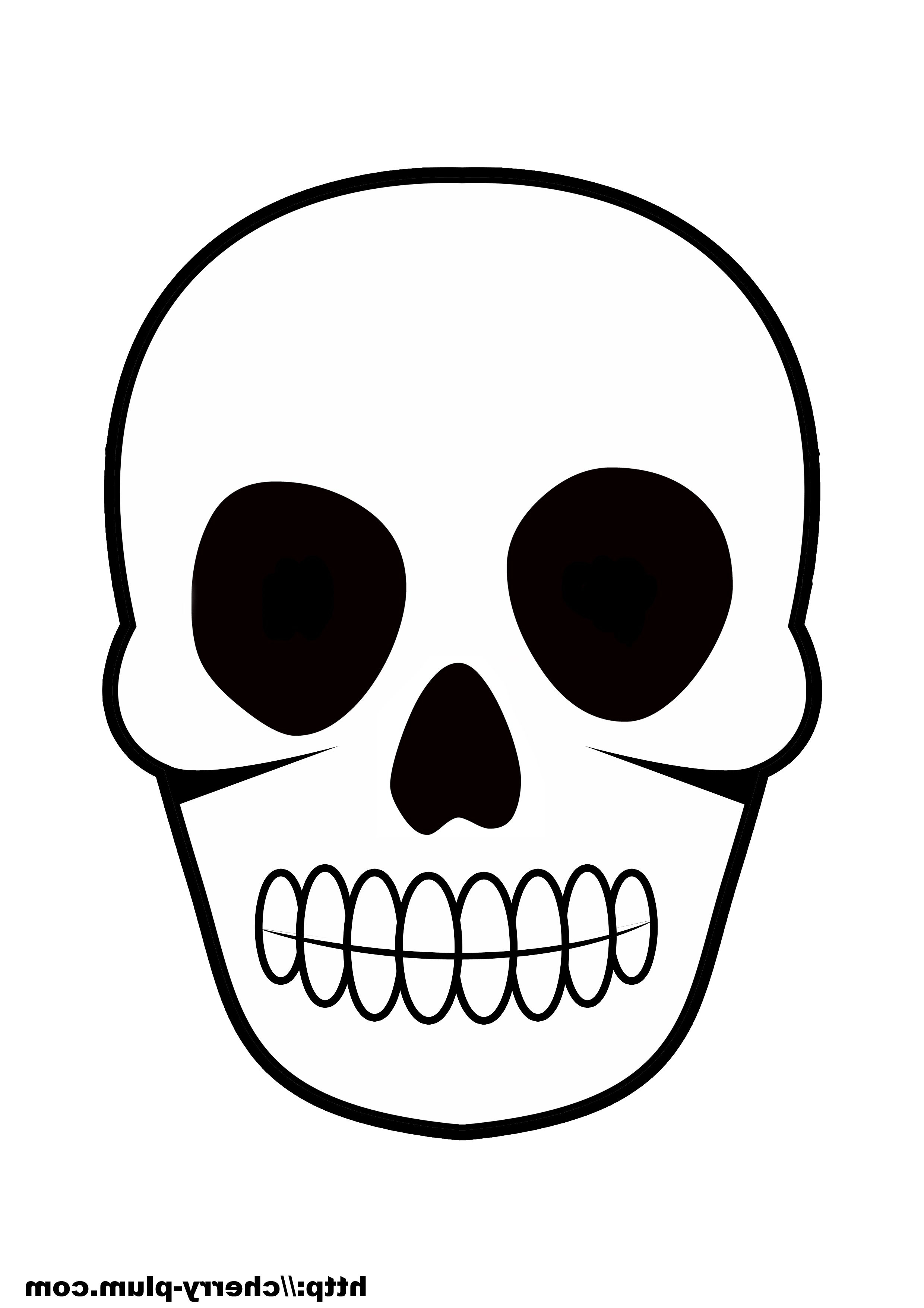 Tete De Squelette Dessin Bestof Collection Diy Halloween – Paolo Skull Paper Costume