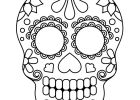Tete De Squelette Dessin Élégant Stock Une Tête De Mort En Sucre Mexicain Sertie De Pétales De