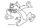 Tom Et Jerry Coloriage Beau Collection Dessin De tom Et Jerry Nike Shox Mtx Léger