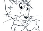 Tom Et Jerry Coloriage Luxe Stock tom Et Jerry Dessin
