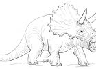 Triceratops Coloriage Impressionnant Photographie Coloriage Tricératops