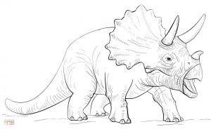 Triceratops Coloriage Impressionnant Photographie Coloriage Tricératops