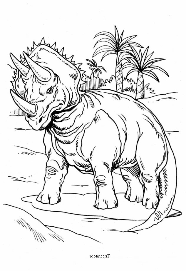Triceratops Coloriage Unique Photographie Triceratops and Palm Trees Coloring Pages Hellokids
