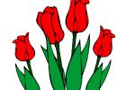 Tulipes Dessin Élégant Image Dessin De Tulipes Colorie Par Membre Non Inscrit Le 23 De