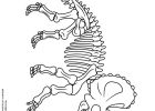 Tyrex Dessin Bestof Images Coloriage Tyrex Best Coloriage De Fossiles De