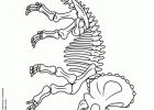 Tyrex Dessin Inspirant Images Coloriage De Tyrex Beautiful Coloriage De Fossiles De