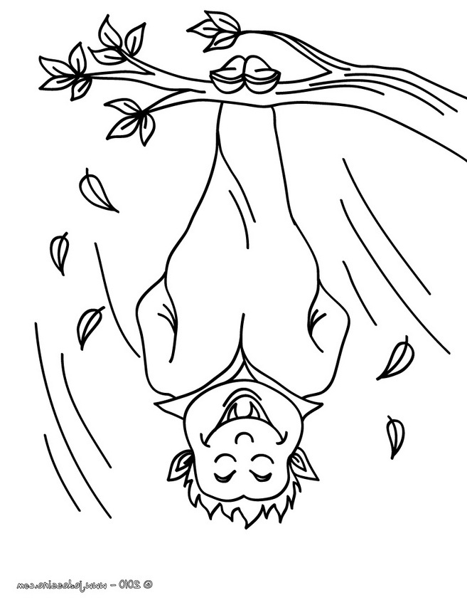 Vampire Halloween Dessin Luxe Photos Halloween Vampire Coloring Pages Sketch Coloring Page