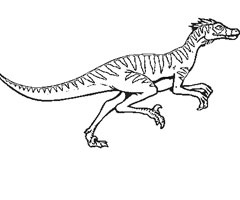 Velociraptor Dessin Cool Photos Coloriage Dinosaure En Ligne Gatuit Dessins Dinosaure à