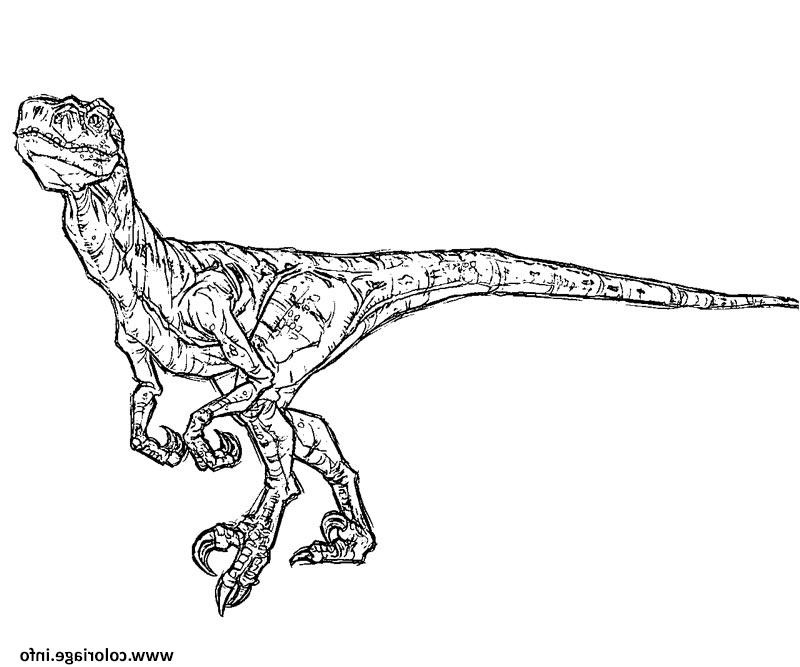 Velociraptor Dessin Nouveau Stock Coloriage Jurassic Park 24 Jecolorie