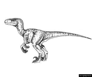 Dessin Jurassic Park Luxe Images Jurassic Park Velociraptor Coloring Page