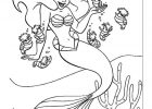 Coloriage Ariel Inspirant Photos the Little Mermaid Free to Color for Kids the Little