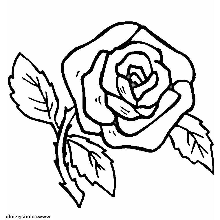 Coloriage Fleur Facile Inspirant Photos Coloriage Fleur Rose Simple Et Facile Dessin