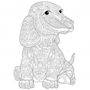 Coloriage Mandala Chien Beau Photos Chien Teckel Dogs Adult Coloring Pages