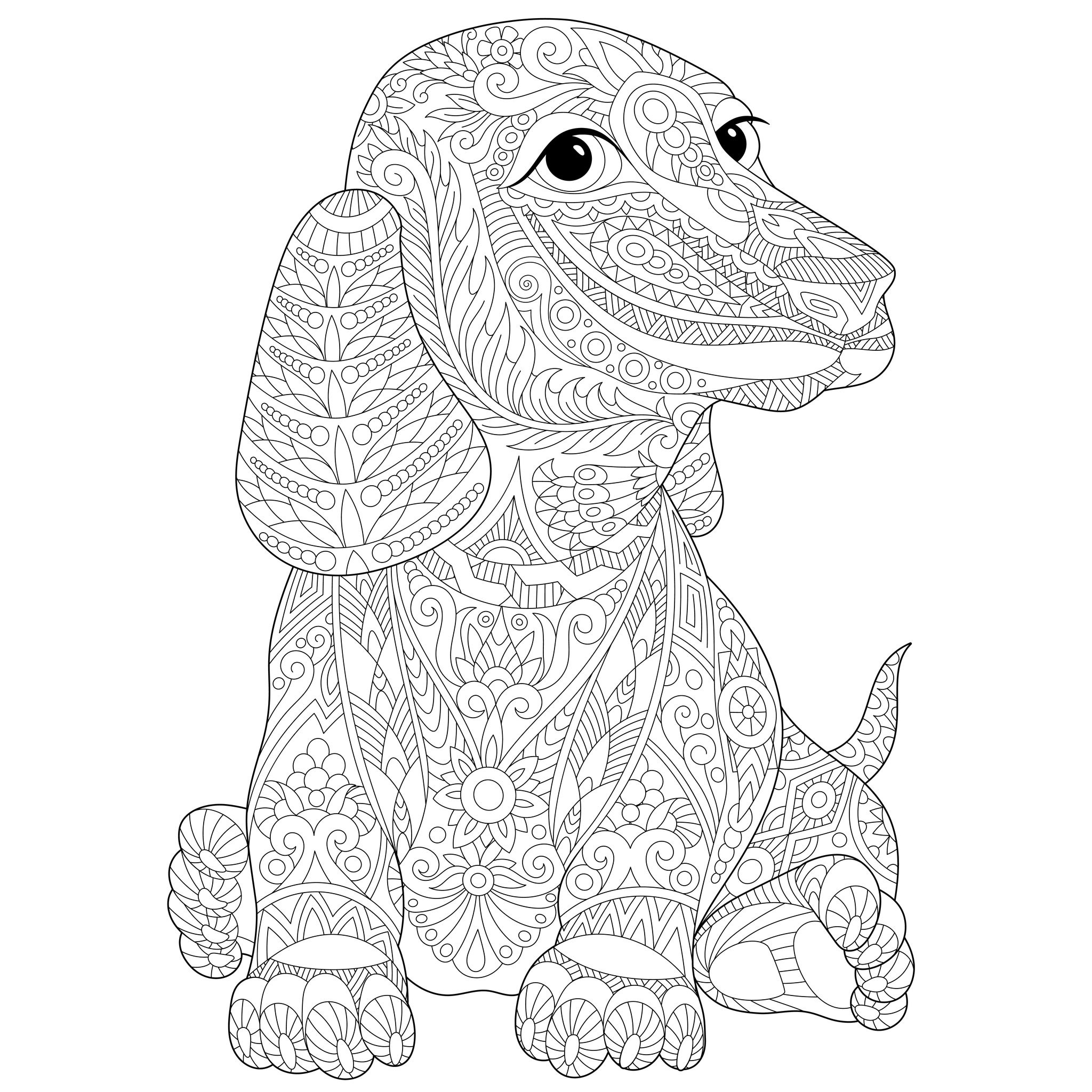 Coloriage Mandala Chien Beau Photos Chien Teckel Dogs Adult Coloring Pages