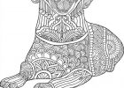 Coloriage Mandala Chien Cool Collection 230 Best Images About Coloriage Mandala Chien On Pinterest