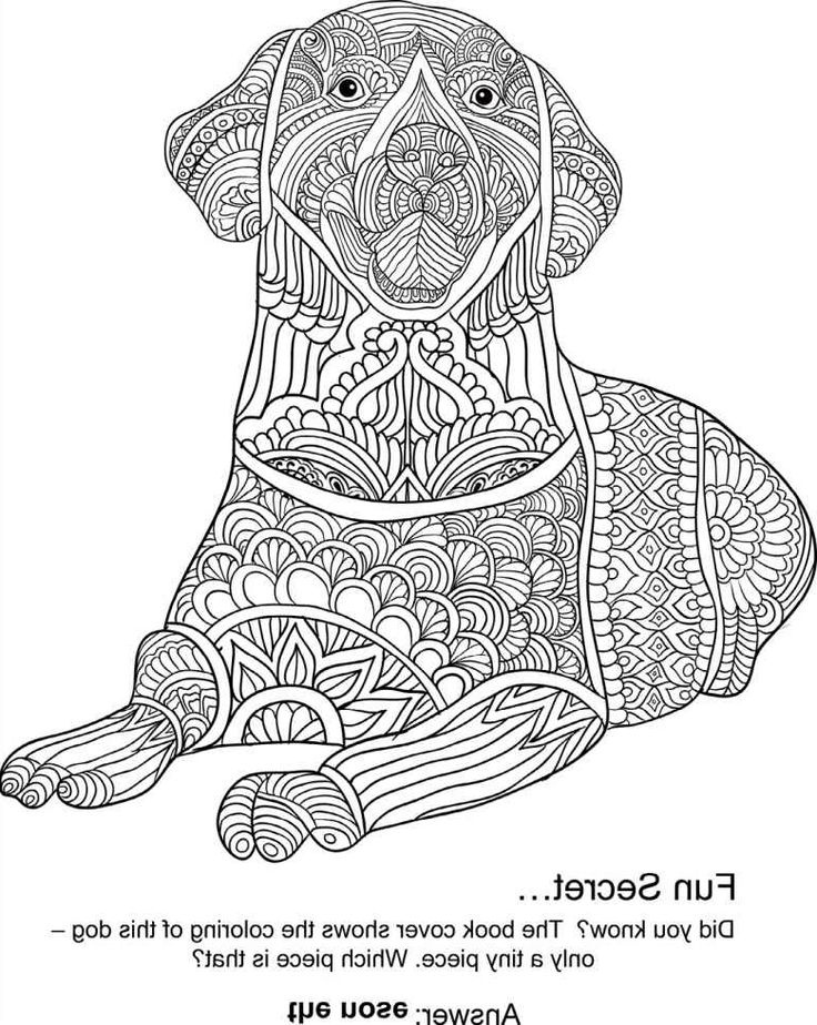 Coloriage Mandala Chien Cool Collection 230 Best Images About Coloriage Mandala Chien On Pinterest