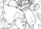 Coloriages Dragon Ball Z Impressionnant Photos Trunks and Ve A Dragon Ball Z Kids Coloring Pages
