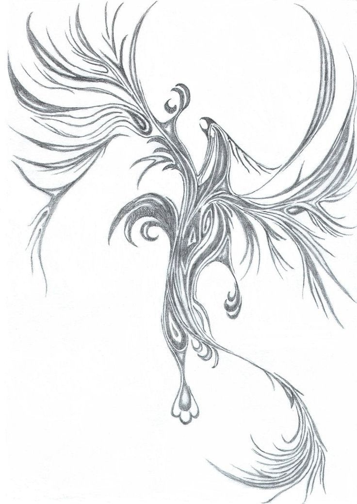 Griffon Dessin Élégant Collection Simple Griffin Tattoo Google Search …