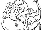 Singes Dessin Cool Photos Monkeys to Print Monkeys Kids Coloring Pages