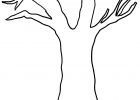 Coloriage Arbre Cool Collection Tree Coloring Pages with No Leaves 01