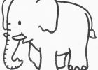 Modele Dessin Enfant Cool Stock Coloriage Éléphant à Colorier Dessin à Imprimer