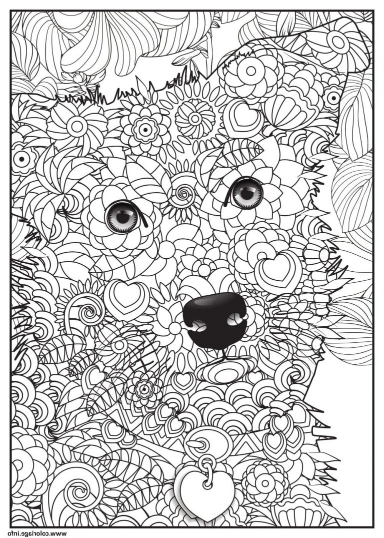 Coloriage A Imprimer Animaux Cool Images Coloriage Chien Border Collie