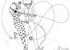 Dessin A Colorier Ladybug Impressionnant Galerie Coloriage Ladybug Et Chat Noir Line Art Illustration