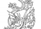 Dessins Dragons Beau Photos Dragon Coloring Pages Free Printables for Kids Disney