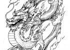 Dessins Dragons Nouveau Photos Dragon Chinois Chine asie Coloriages Difficiles Pour