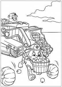 Ruben Pat Patrouille Dessin Cool Galerie Paw Patrol Free Printable Coloring Pages for Kids Page 2