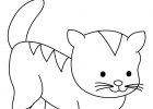 Dessin Chat Mignon Nouveau Collection Chaton Mignon Dort