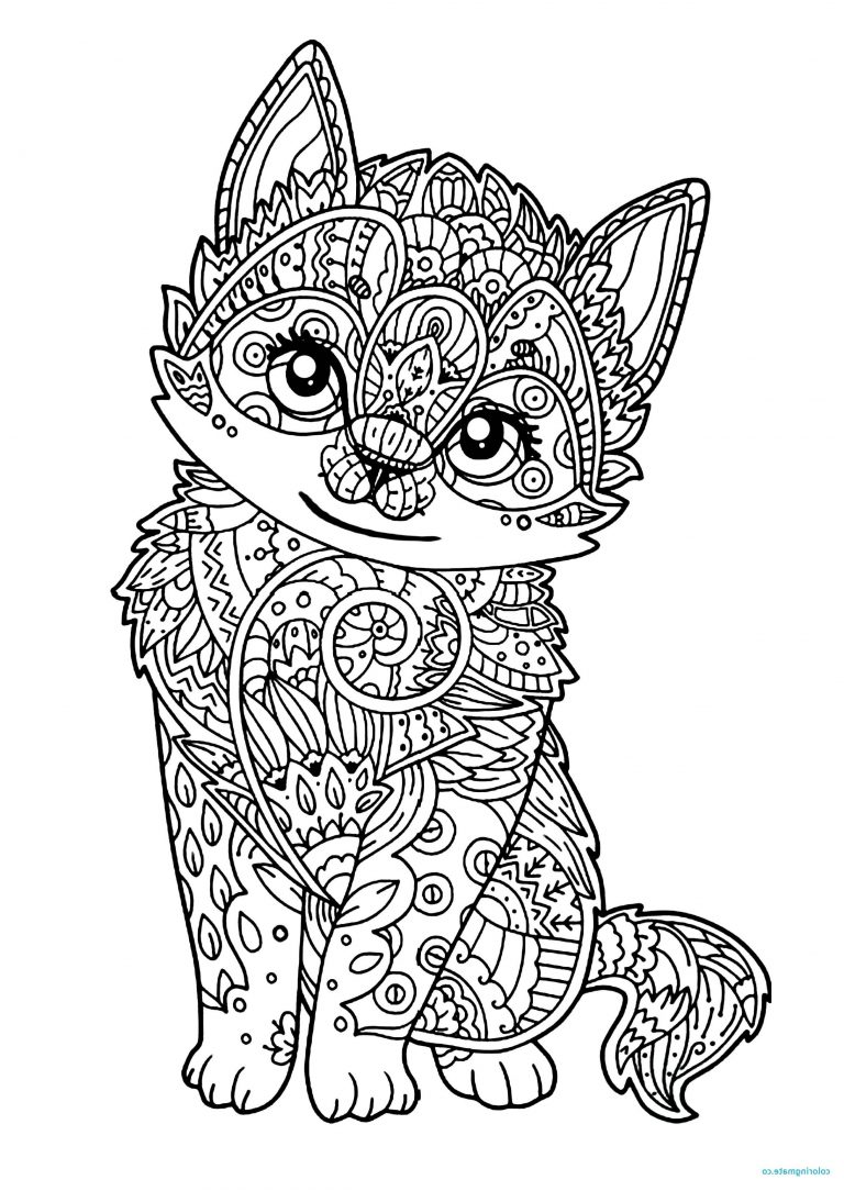 Mandala Chat à Imprimer Élégant Photos Coloriage Mandala Chat Papillon