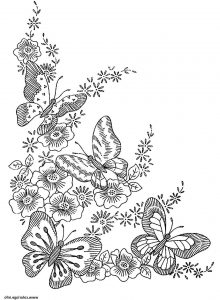 Www.coloriage.info Unique Collection Coloriage Adulte Difficile Papillons Dessin