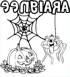 Araignée Dessin Halloween Beau Photos Coloriage Araignée Halloween à Imprimer