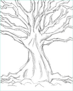 Arbre Dessin Simple Beau Collection for Simple Tree Sketches En 2020