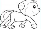 Bébé Animaux Dessin Beau Stock Cute Monkey Drawing