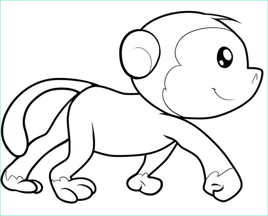 Bébé Animaux Dessin Beau Stock Cute Monkey Drawing