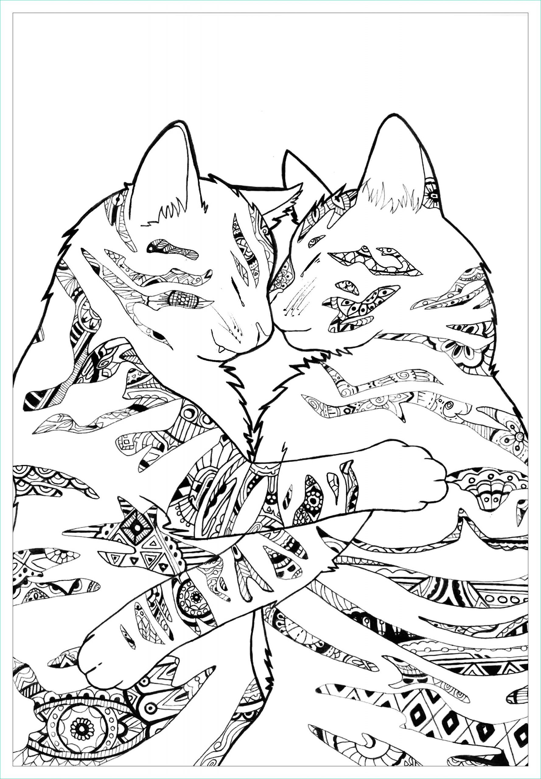 Cat Dessin Impressionnant Photos Cats by Paulined Cats Adult Coloring Pages