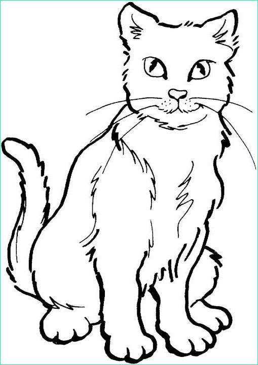 Cat Dessin Inspirant Photographie Coloriages A Imprimer May 2011