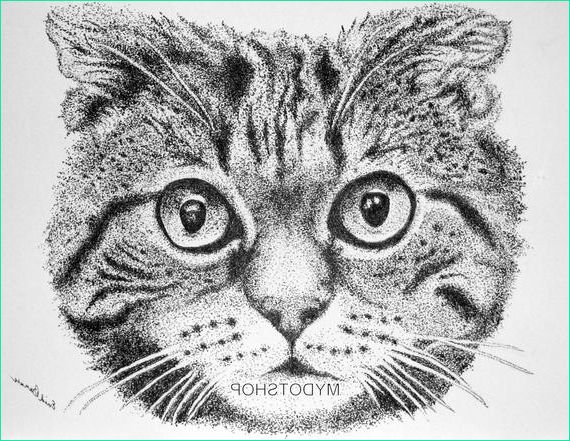 Cat Dessin Unique Stock original Cat Pointillism Pen and Ink Drawing