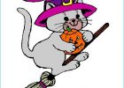 Chat Halloween Dessin Beau Stock Coloriage Chat Halloween A Imprimer