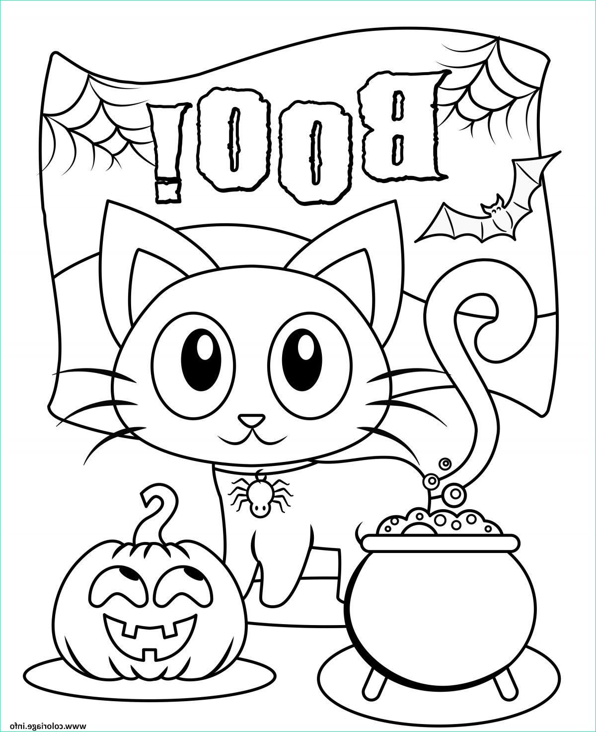 Chat Halloween Dessin Impressionnant Stock Coloriage Halloween Boo Chat Noir Citrouille Dessin