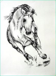 Cheval Dessin Realiste Unique Photographie Pin by tori S Art &amp; Treasures On Project