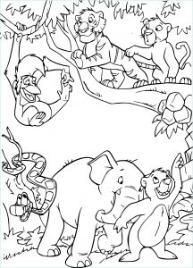Coloriage Animaux Jungle Inspirant Images Coloriage Livre De La Jungle Les Jeunes à Imprimer Sur